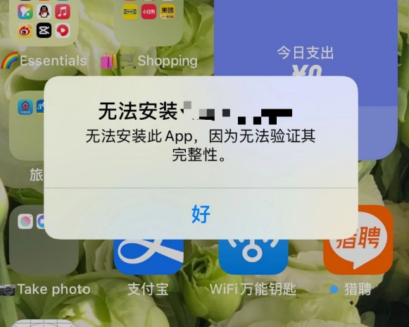 苹果手机Webtoon安装失败？先看是不是这个原因