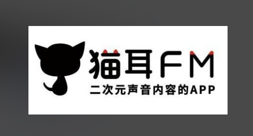 猫耳FM怎么开启歌词显示？听歌看词一键搞定