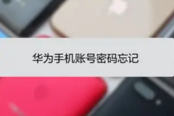 华为运动健康账号密码忘了？手机号验证码就能找回