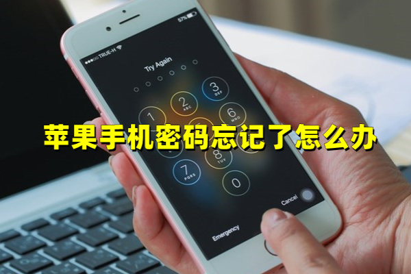 苹果手机密码忘记了怎么解开？官方恢复办法