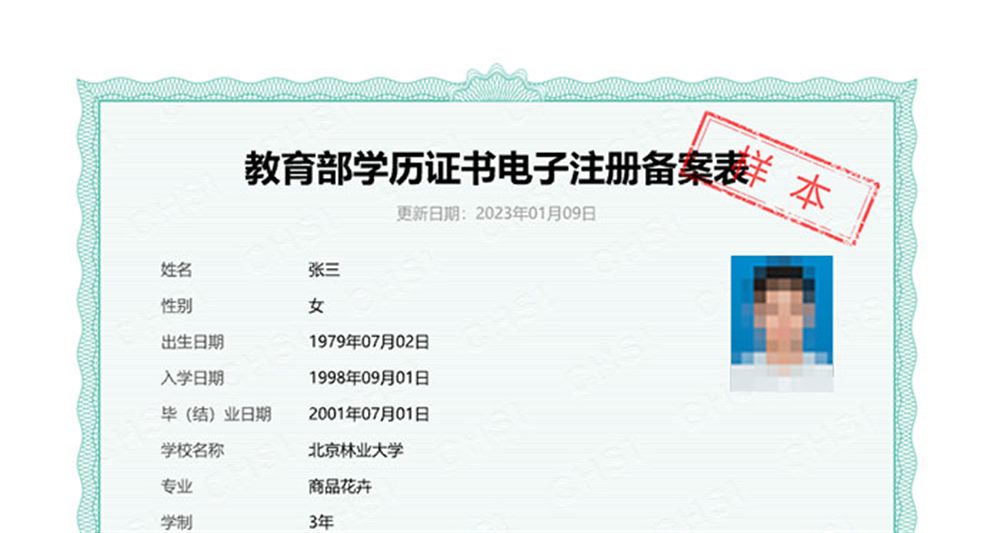 学信网app报告编号怎么获取 学信网报告编号忘记了怎么查