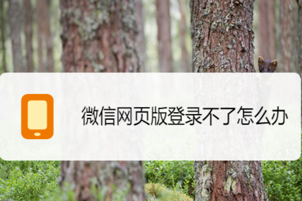 微信网页版登录不了怎么解决 微信网页版登录不了解决方法
