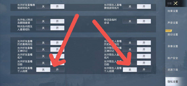 隐私设置中允许好友和陌生人查看个人战绩的关按钮均为白色高亮