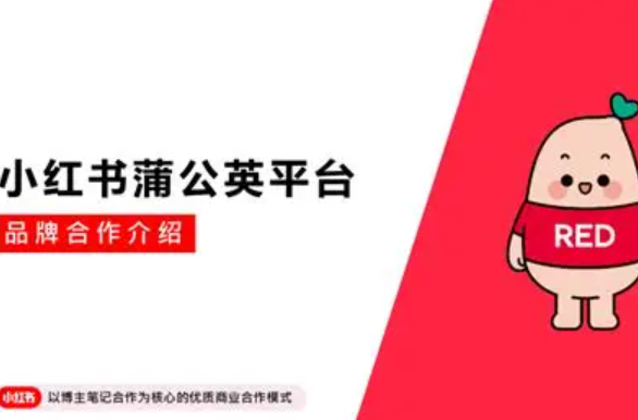 小红书蒲公英平台入口在哪？蒲公英登录指引